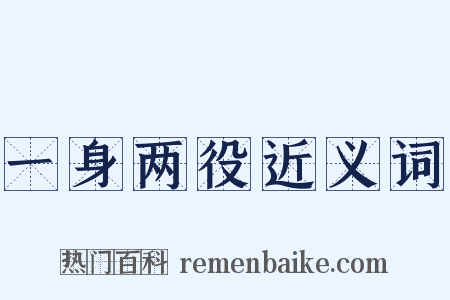 一身两役近义词是什么意思的图片